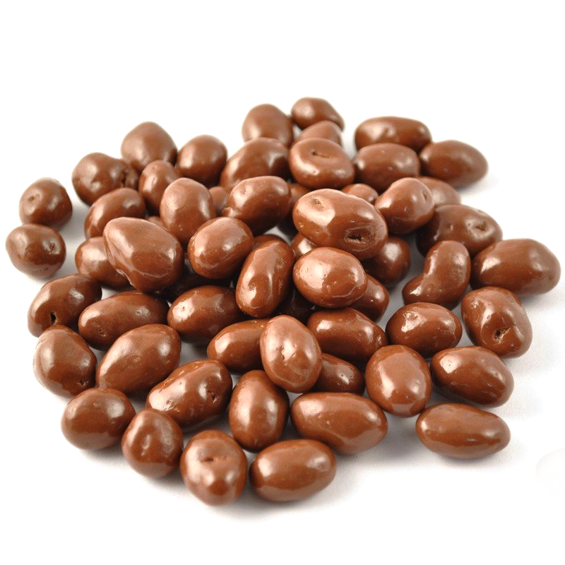 Lang’s Chocolates Chocolate Covered Peanuts
